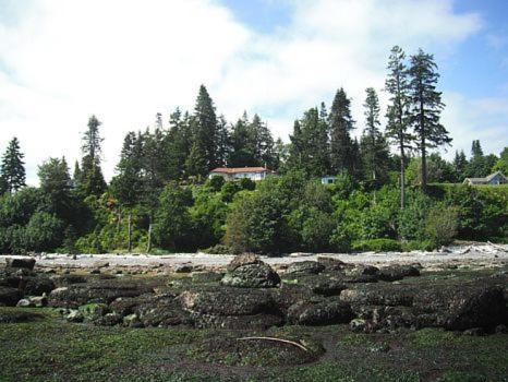 Edgewater Motel Campbell River Exterior foto
