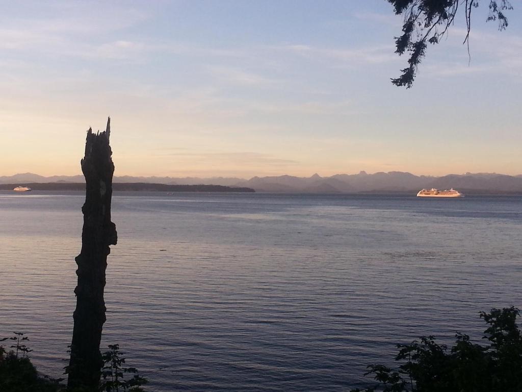 Edgewater Motel Campbell River Exterior foto